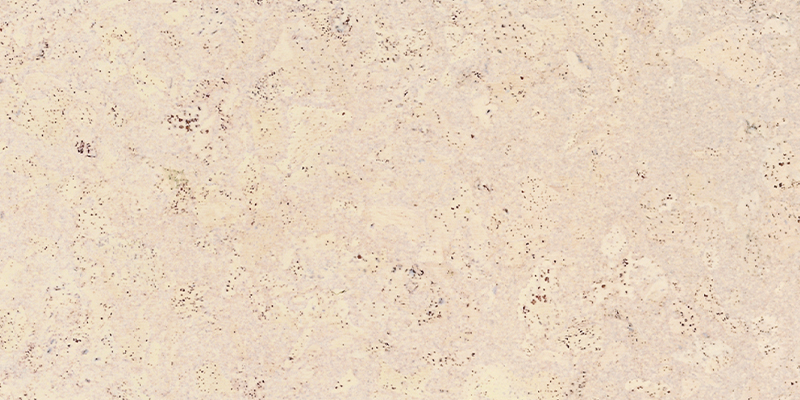 Пробковый пол замковый Corkstyle Eco Cork Madeira White 915×305×10,5